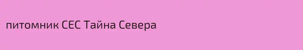 питомник СЕС Тайна Севера